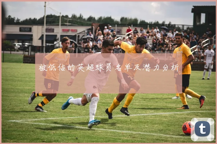 被低估的英超球员名单及潜力分析