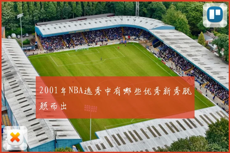 2001年NBA选秀中有哪些优秀新秀脱颖而出