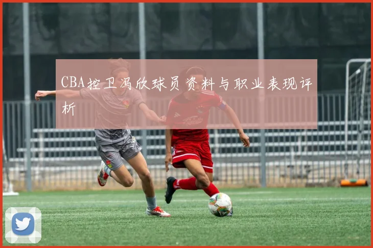 CBA控卫冯欣球员资料与职业表现评析