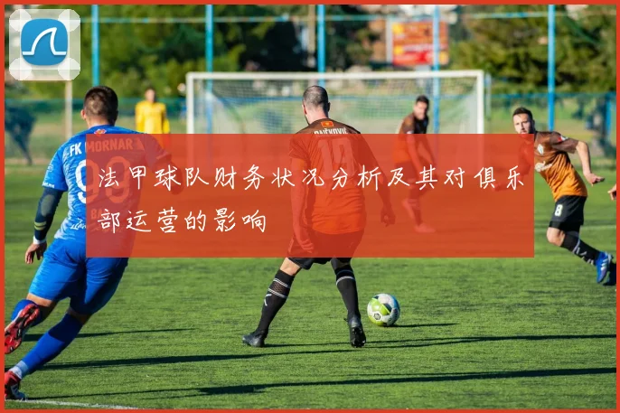 法甲球队财务状况分析及其对俱乐部运营的影响