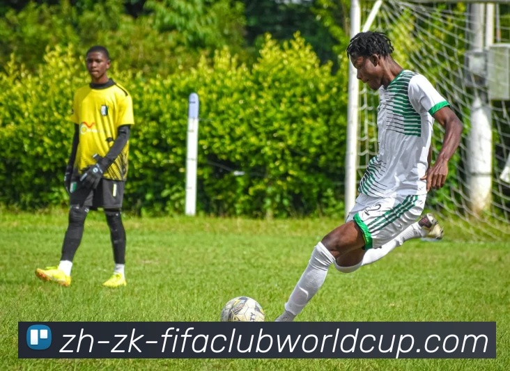 世界杯赛程发展历程