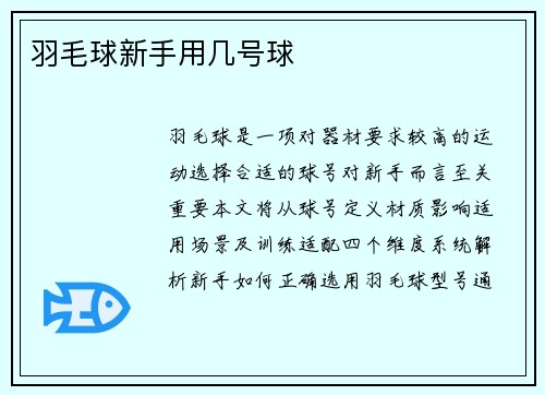 羽毛球新手用几号球