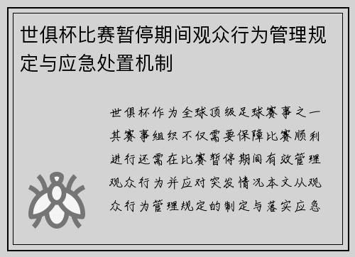 世俱杯比赛暂停期间观众行为管理规定与应急处置机制